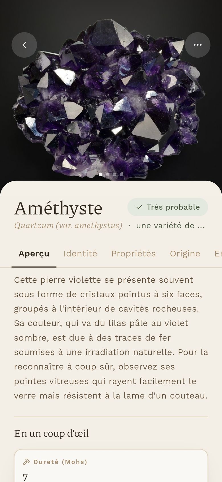 La fiche d'une améthyste, avec son indice de confiance.
